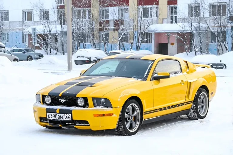 Best Winter Tire For A 2009 Mustang